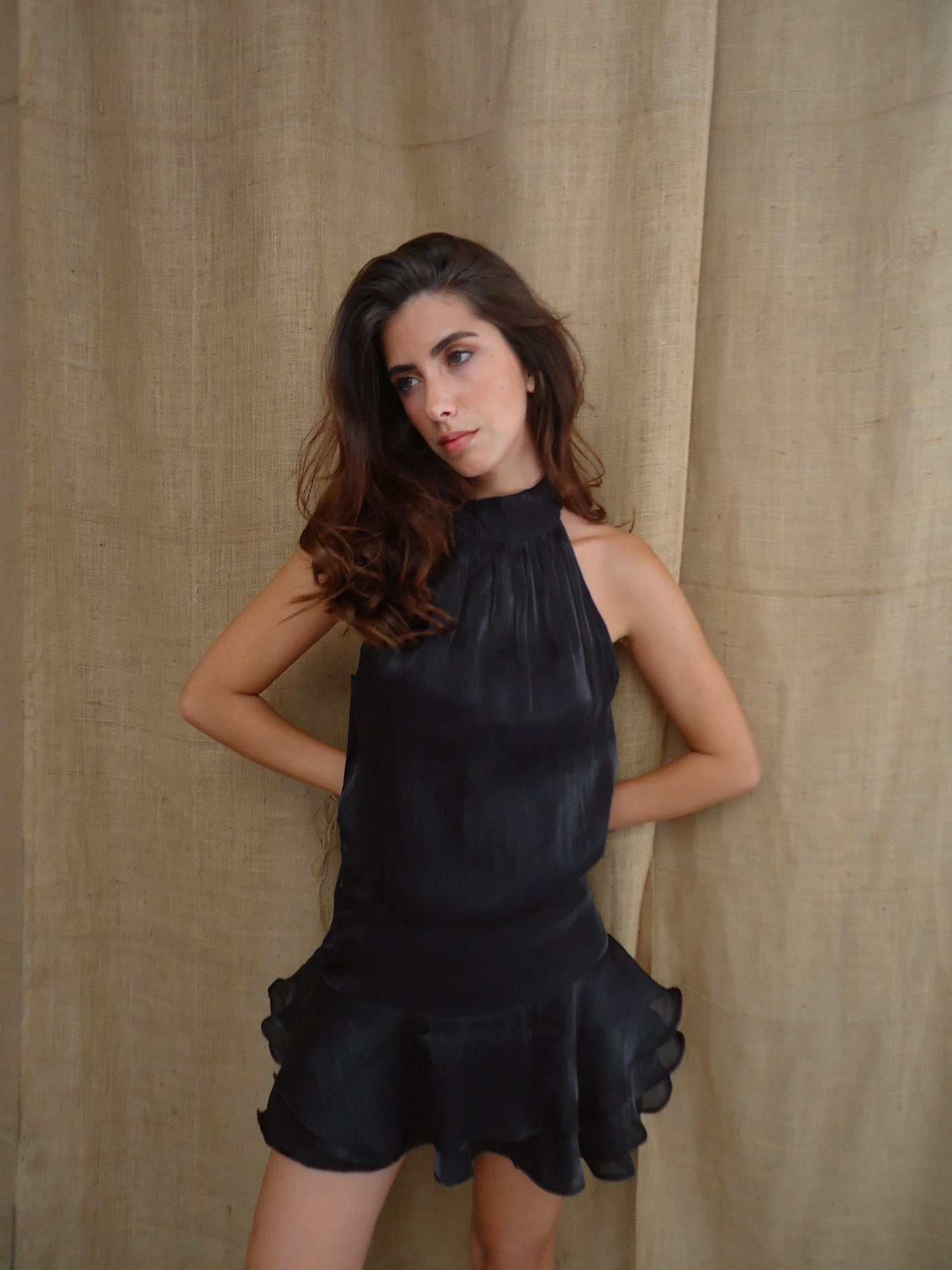 Shimmer Dress