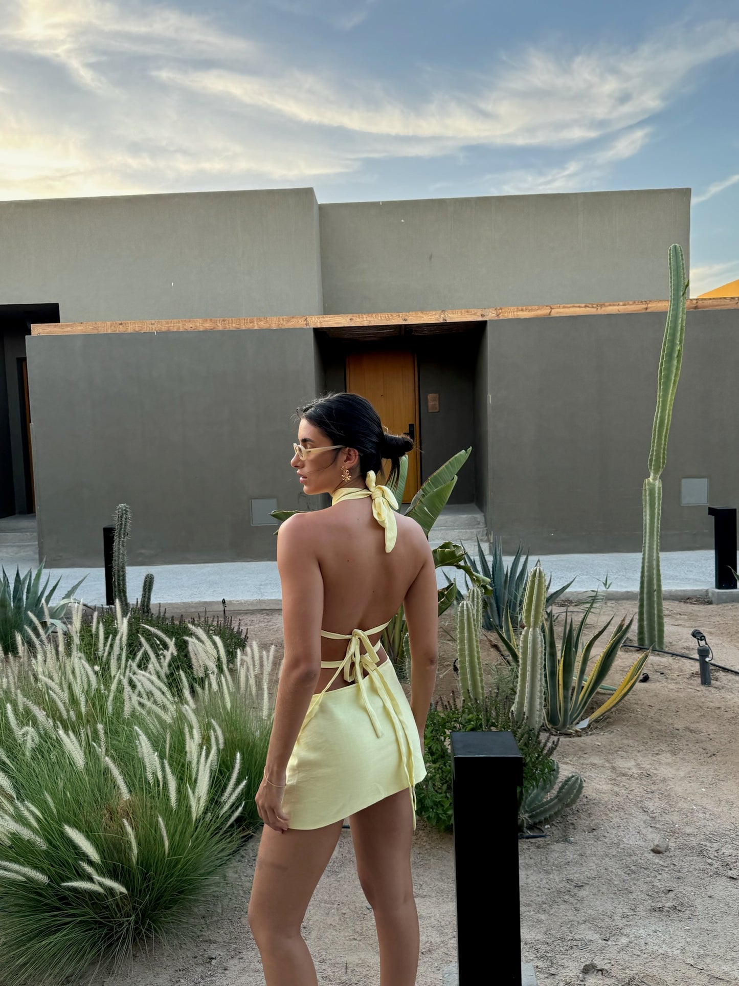 Alina Mini Skirt